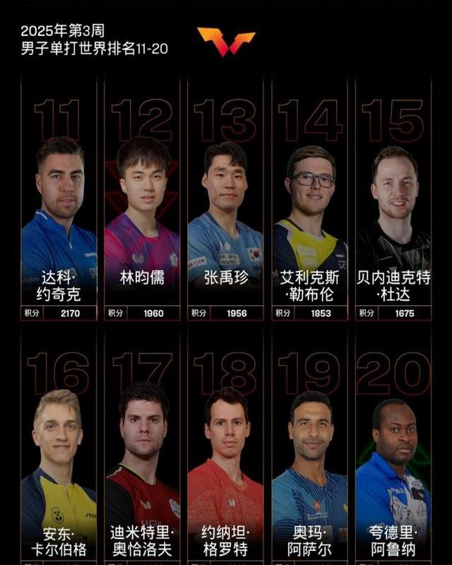 包含排名调整：谁在最新榜单中崭露头角？的词条