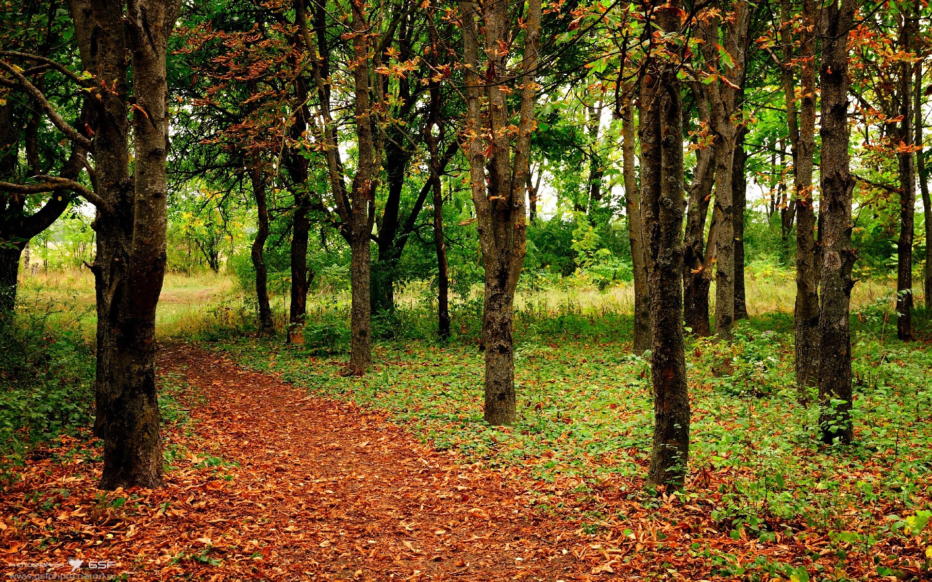 _家庭趣味体育日：全家动起来，共享运动快乐_，家庭体育游戏大全