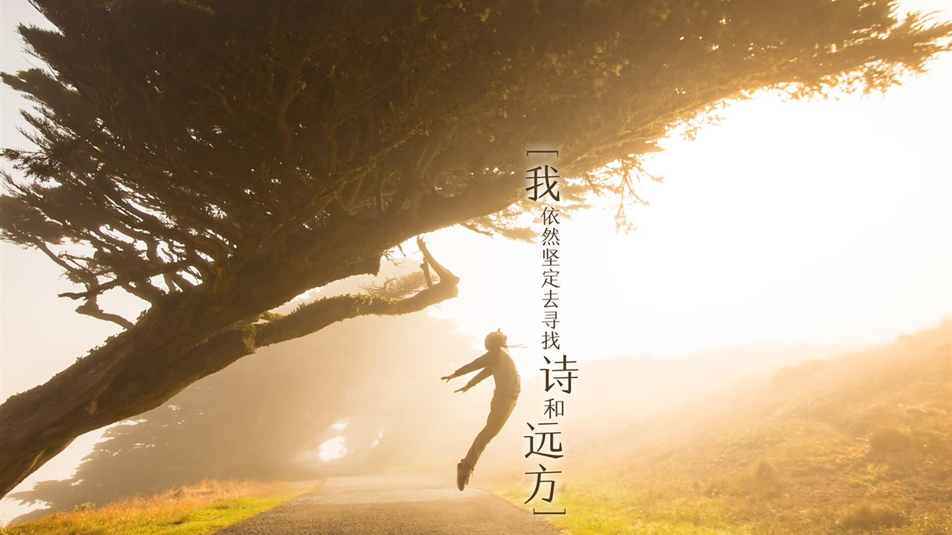 未来联盟：虚拟互动+沉浸式体验开启新娱乐时代！，西安未来联盟信息技术服务有限公司