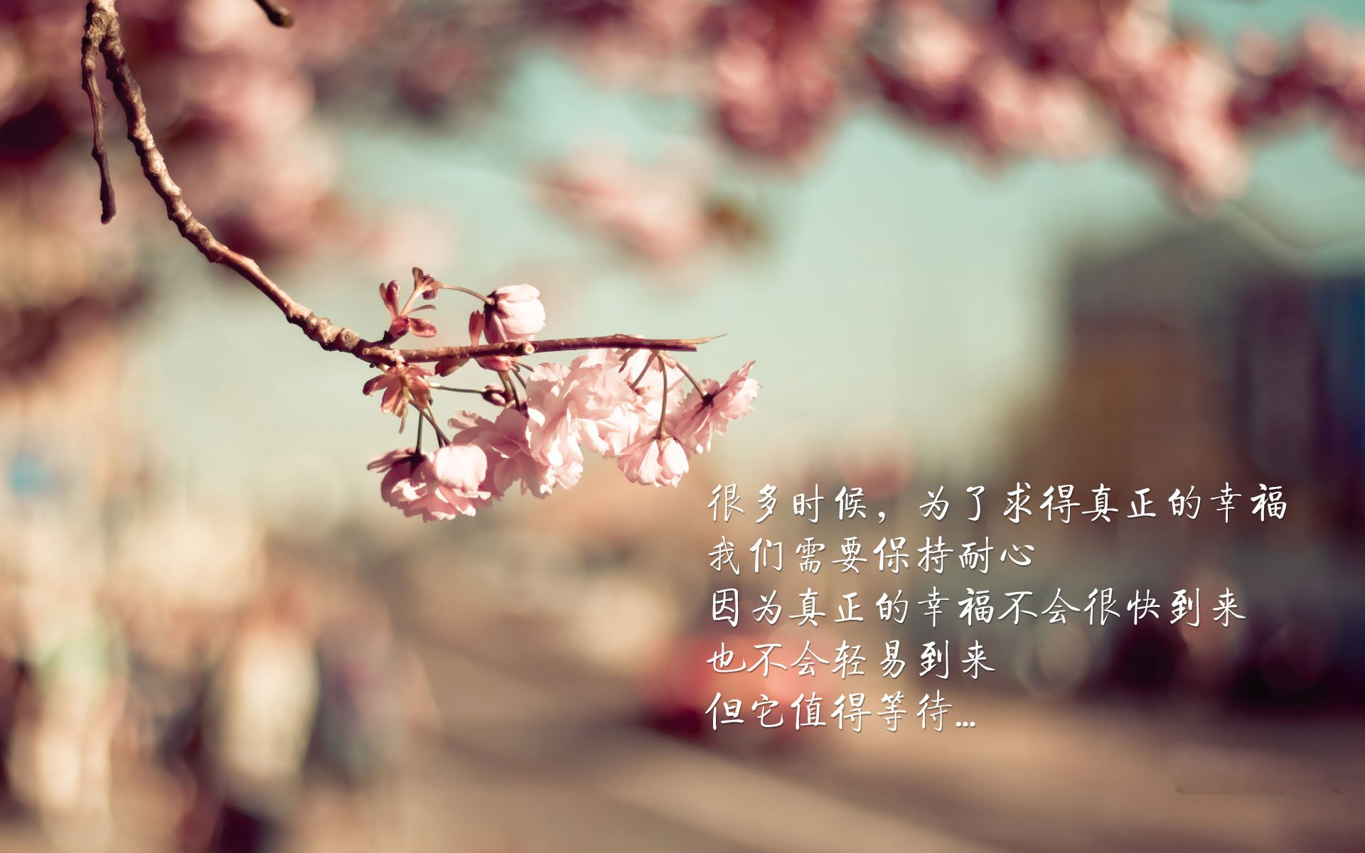 逆转“传奇名场”:那些震撼心灵的回忆,世界上最传奇的逆转