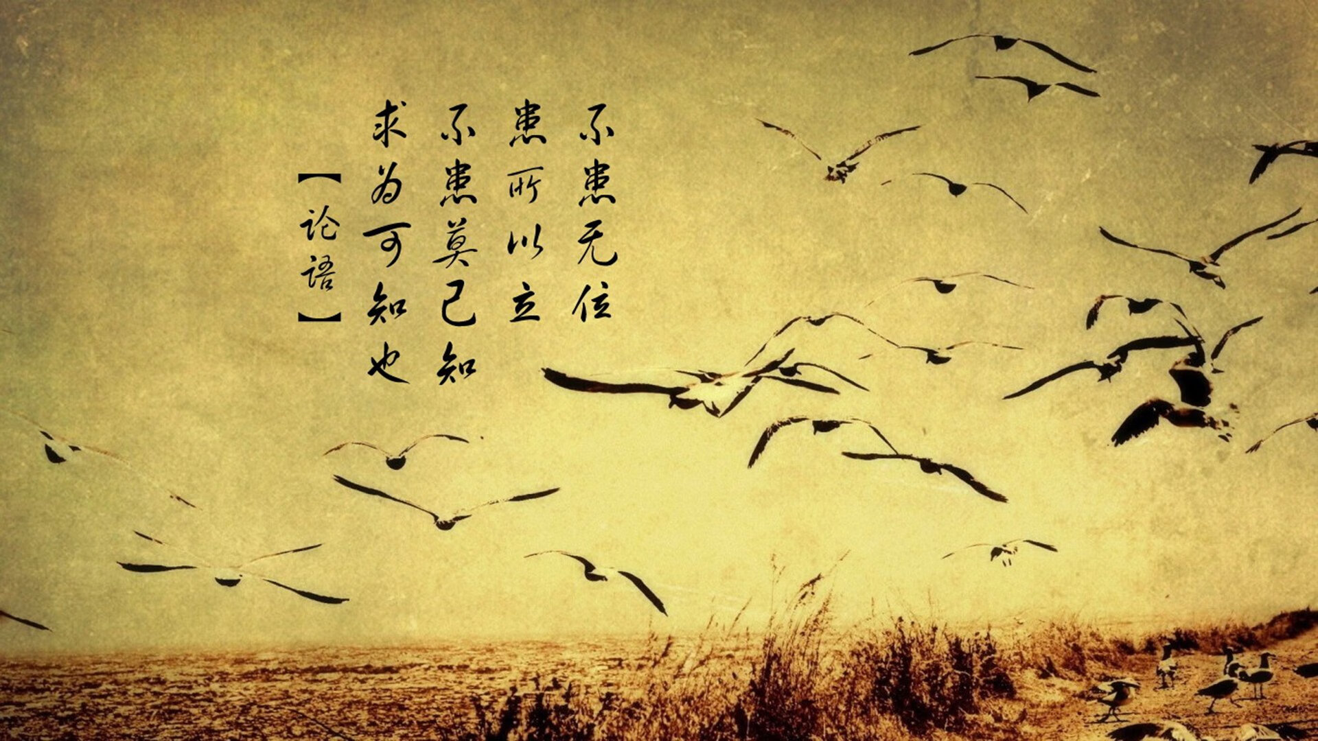 中国青少年足球联赛开幕,培养未来之星,中国青少年足球锦标赛