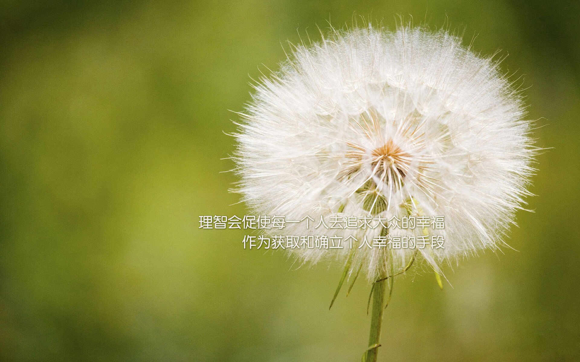 中国驻菲律宾大使馆联合湾区翼龙篮球队等举办篮球慈善活动,促进中菲体育文化交流。