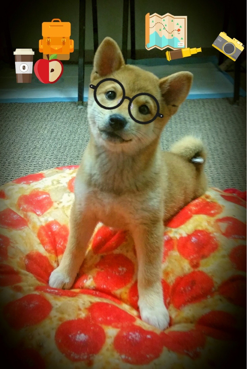 墨西哥换人上场自带“火锅”，热翻全场