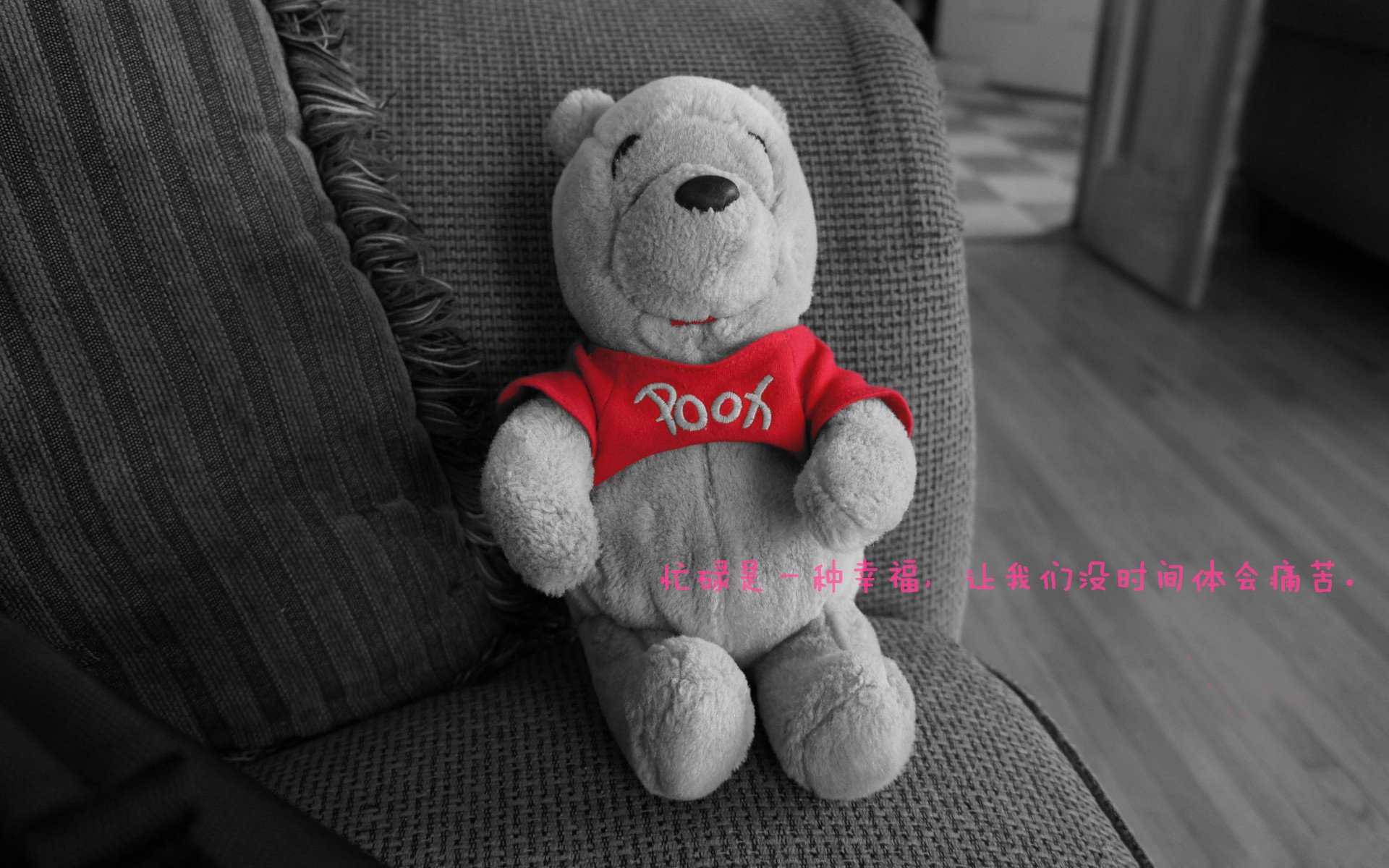 沃尔夫斯堡取得多场胜利,正处于巅峰状态,沃尔夫斯堡夺冠