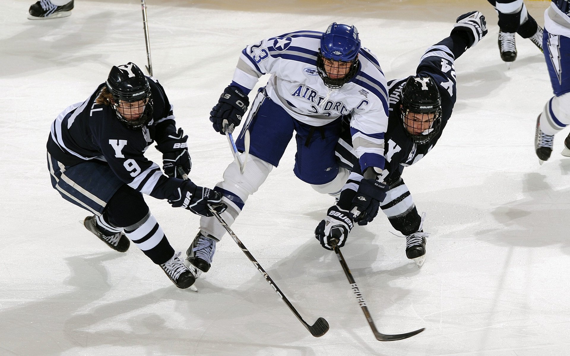 生力啤酒人赛季连胜提升信心，生力啤酒有人喝吗