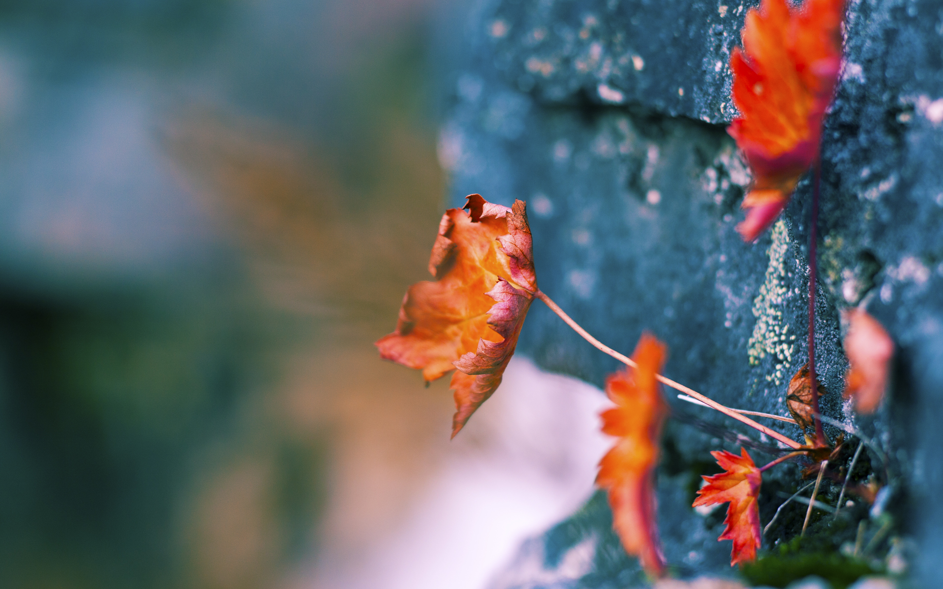 韩国在清洁能源领域取得新进展，国外清洁能源