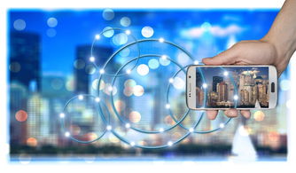 中国篮球职业俱乐部财务风险管理策略研究，篮球俱乐部运营情况