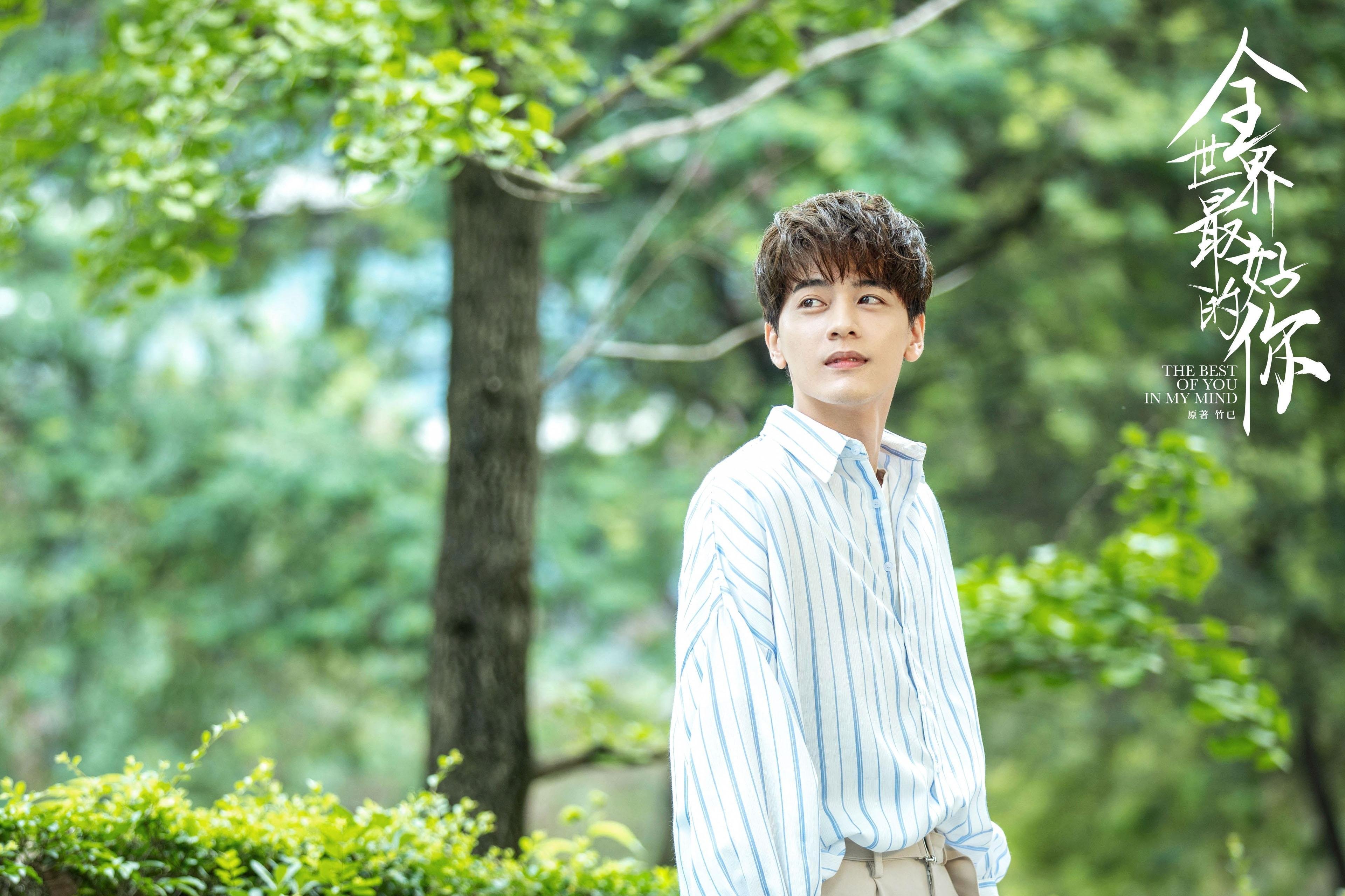 Chinese Taipei团队未来规划:追求卓越的下一步,chinese of taipei