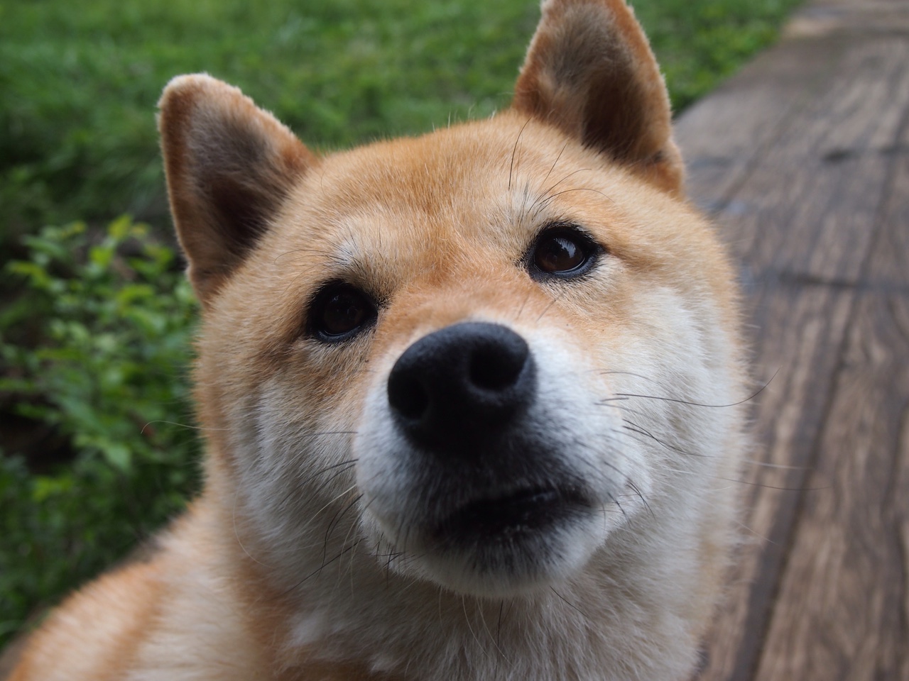 国际热身赛中国足球战平 球迷分析攻防转换，国足敲定热身赛对手