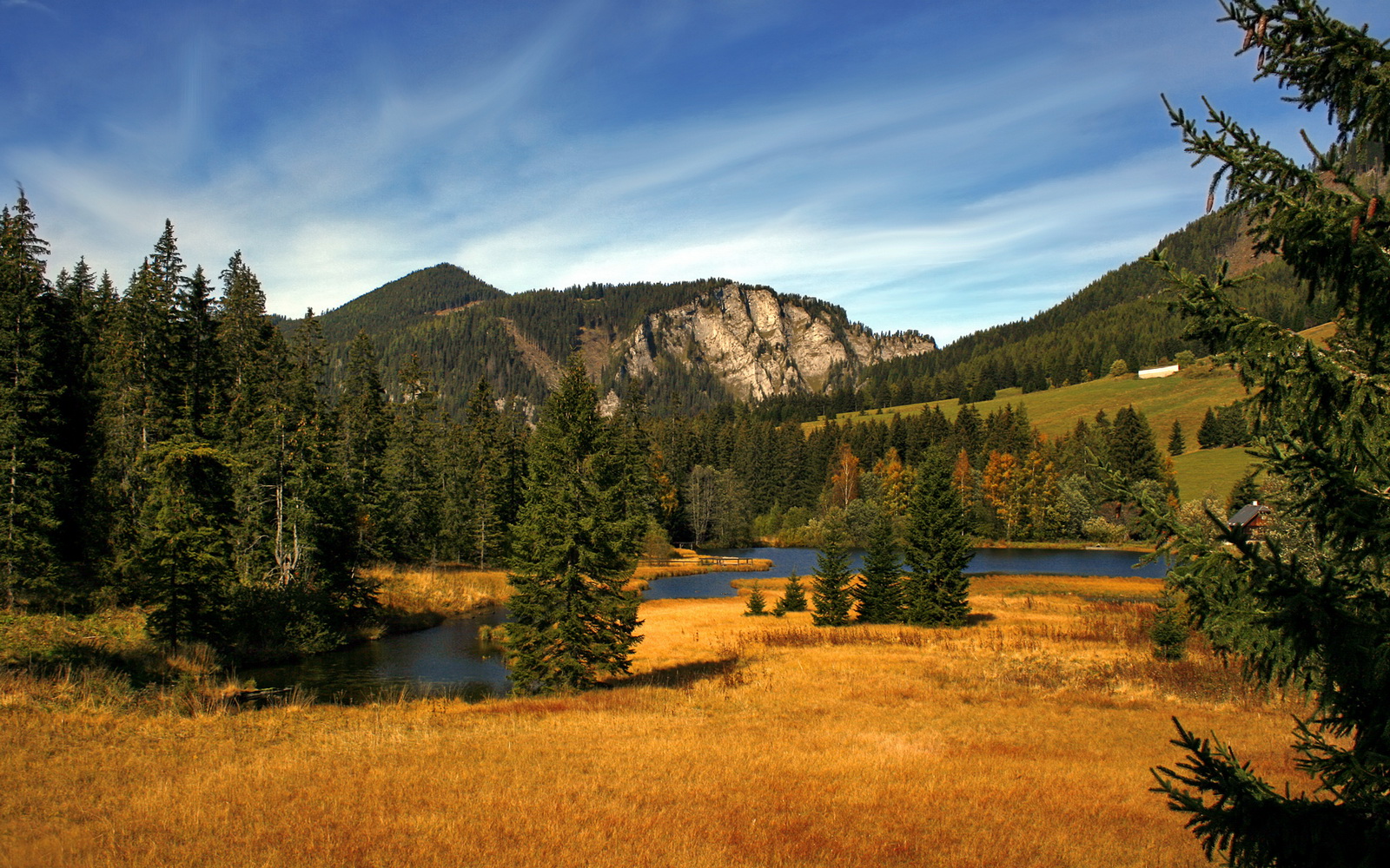 马赛围绕核心展开多点进攻,马赛分析