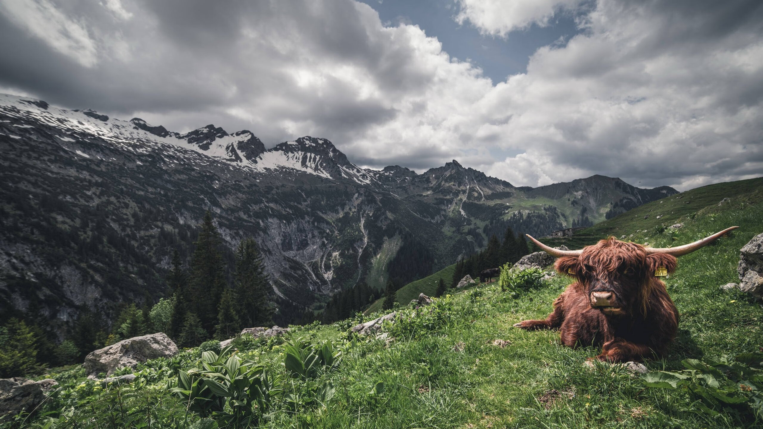 快船后卫训练中三分连中引掌声不断，快船控球后卫