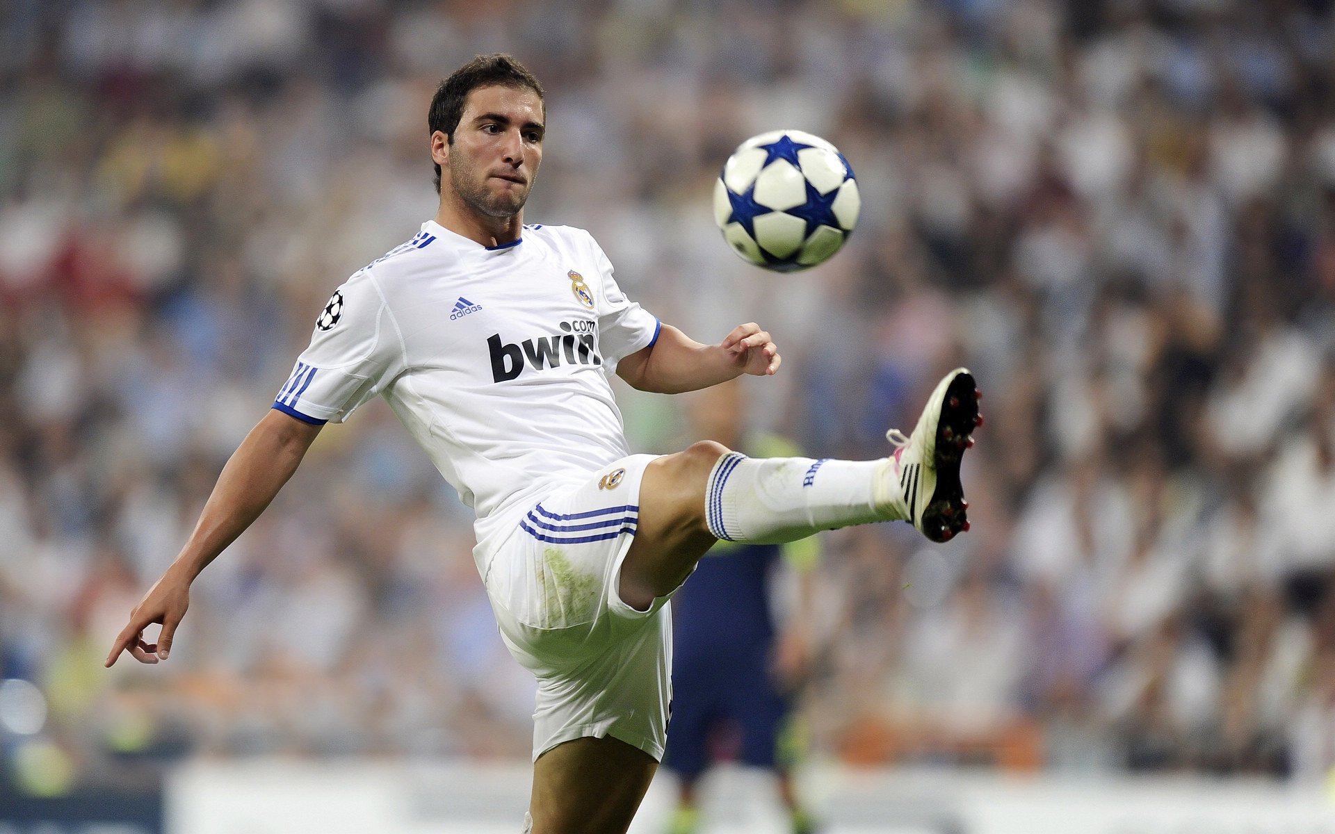 爱游戏体育官方网站-公牛队新秀连续高光表现，成为球队新宠，公牛队最新球员名单